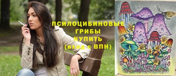 гашиш Заводоуковск