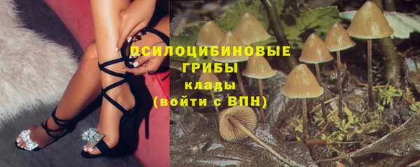гашиш Заводоуковск