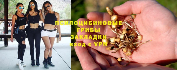 гашиш Заводоуковск