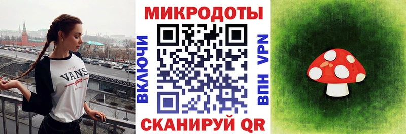 Псилоцибиновые грибы Psilocybe  Купить где  Сланцы 